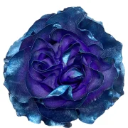 Dyed Roses